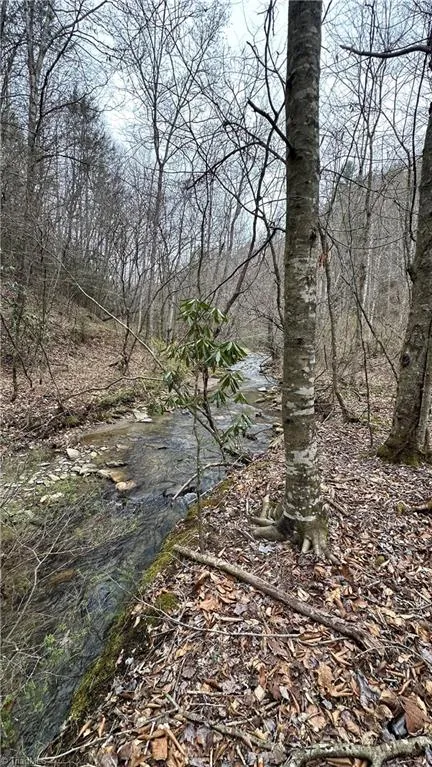 TBD Darnell Creek Road Millers Creek, NC 28651