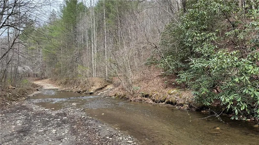 TBD Darnell Creek Road Millers Creek, NC 28651