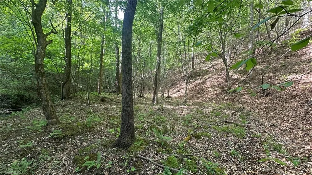 TBD Darnell Creek Road Millers Creek, NC 28651
