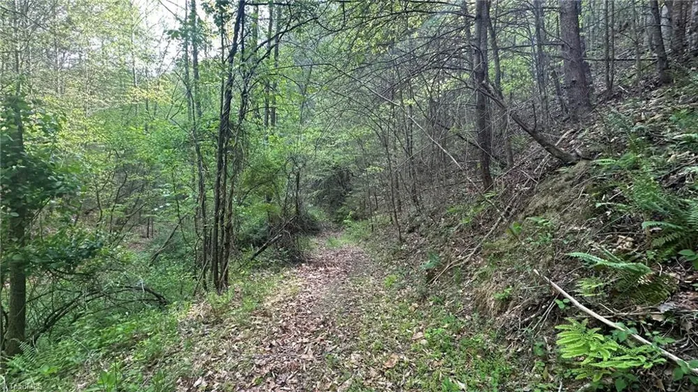TBD Darnell Creek Road Millers Creek, NC 28651