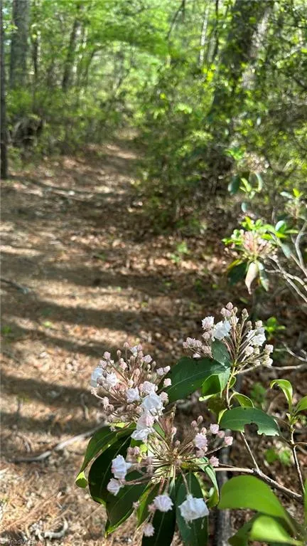 TBD Darnell Creek Road Millers Creek, NC 28651