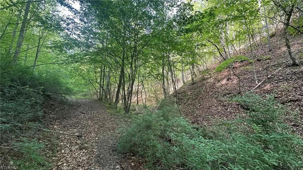 TBD Darnell Creek Road Millers Creek, NC 28651