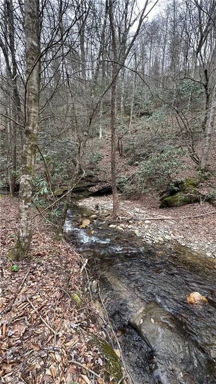 TBD Darnell Creek Road Millers Creek, NC 28651