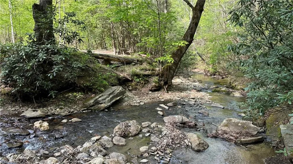 TBD Darnell Creek Road Millers Creek, NC 28651
