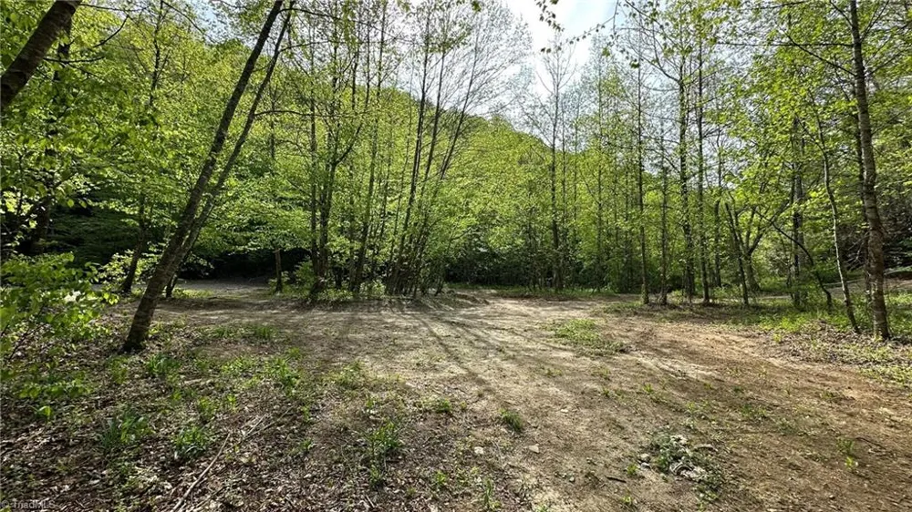 TBD Darnell Creek Road Millers Creek, NC 28651