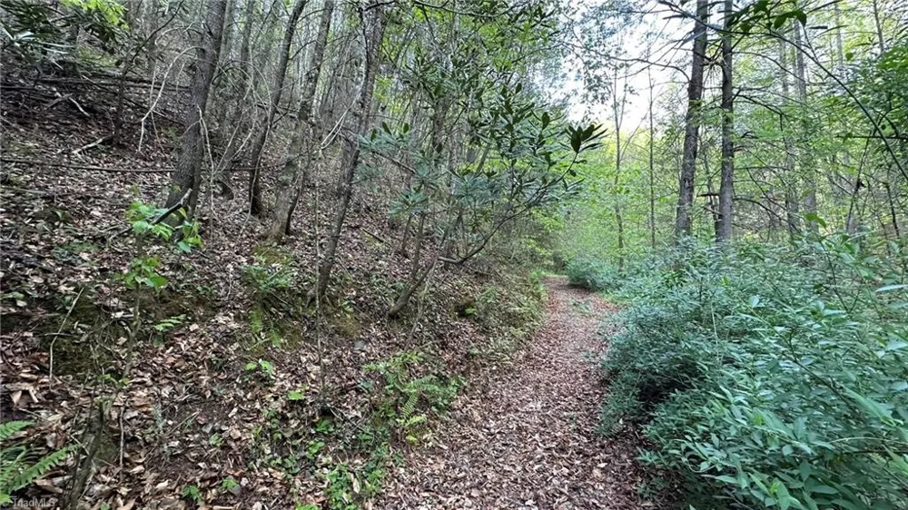 TBD Darnell Creek Road Millers Creek, NC 28651