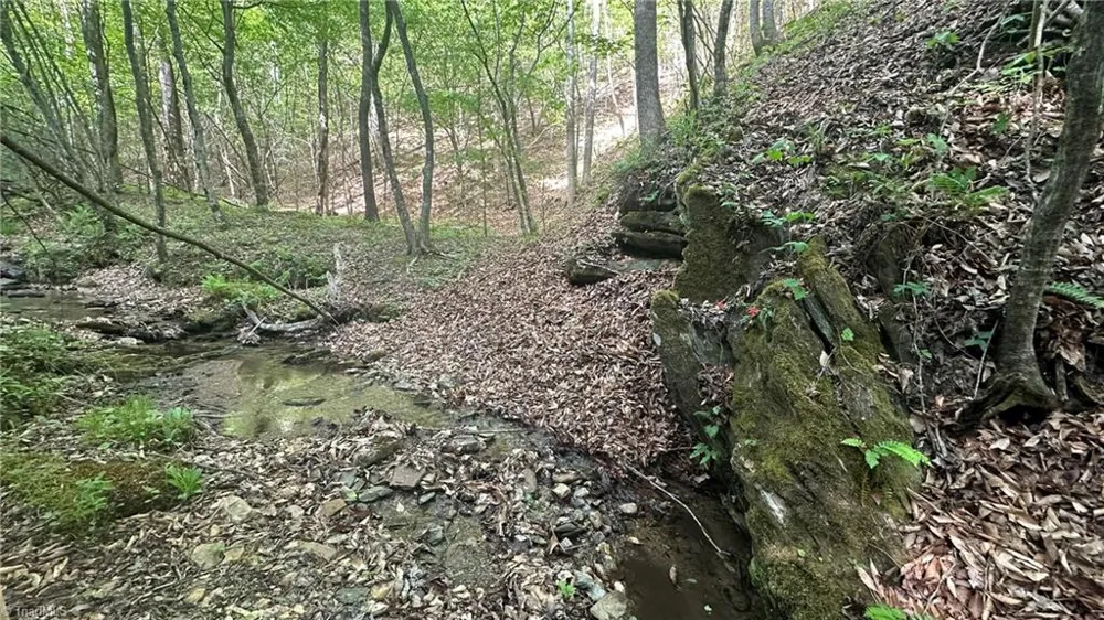TBD Darnell Creek Road Millers Creek, NC 28651