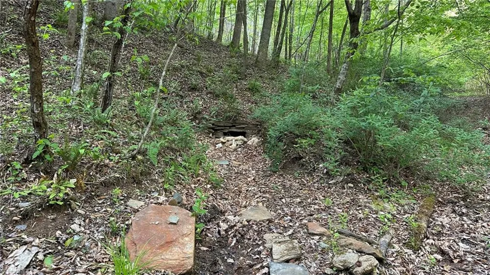 TBD Darnell Creek Road Millers Creek, NC 28651