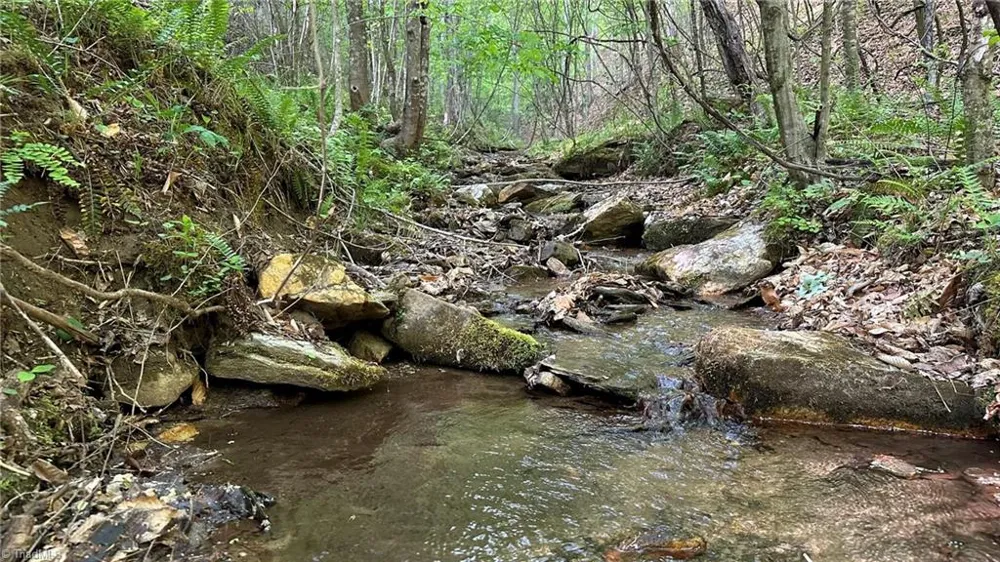 TBD Darnell Creek Road Millers Creek, NC 28651