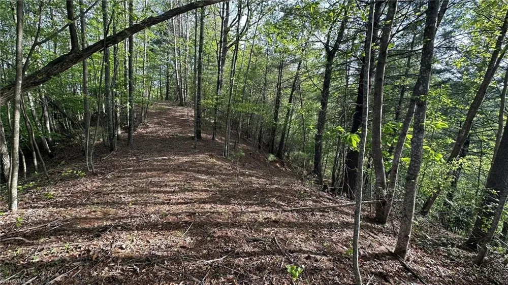 TBD Darnell Creek Road Millers Creek, NC 28651