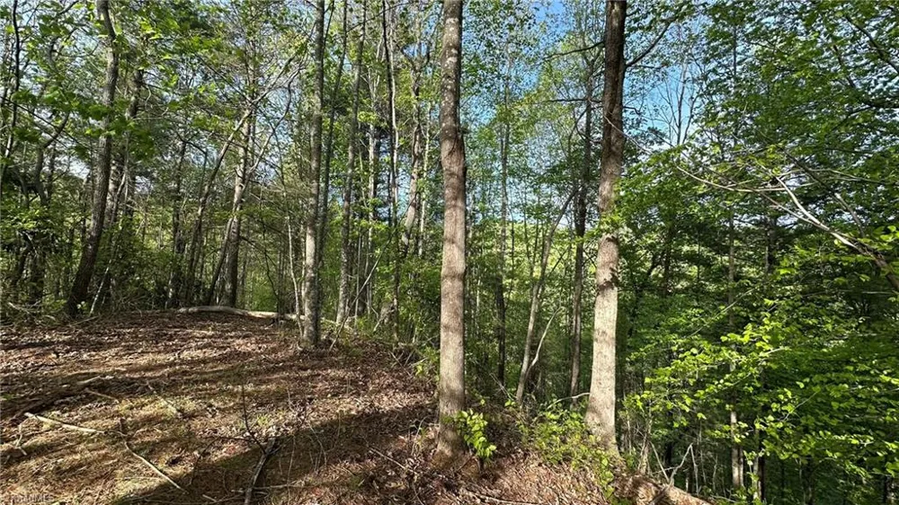 TBD Darnell Creek Road Millers Creek, NC 28651