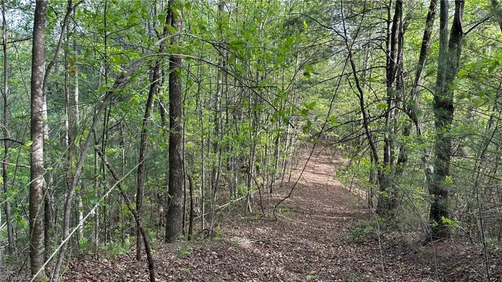 TBD Darnell Creek Road Millers Creek, NC 28651