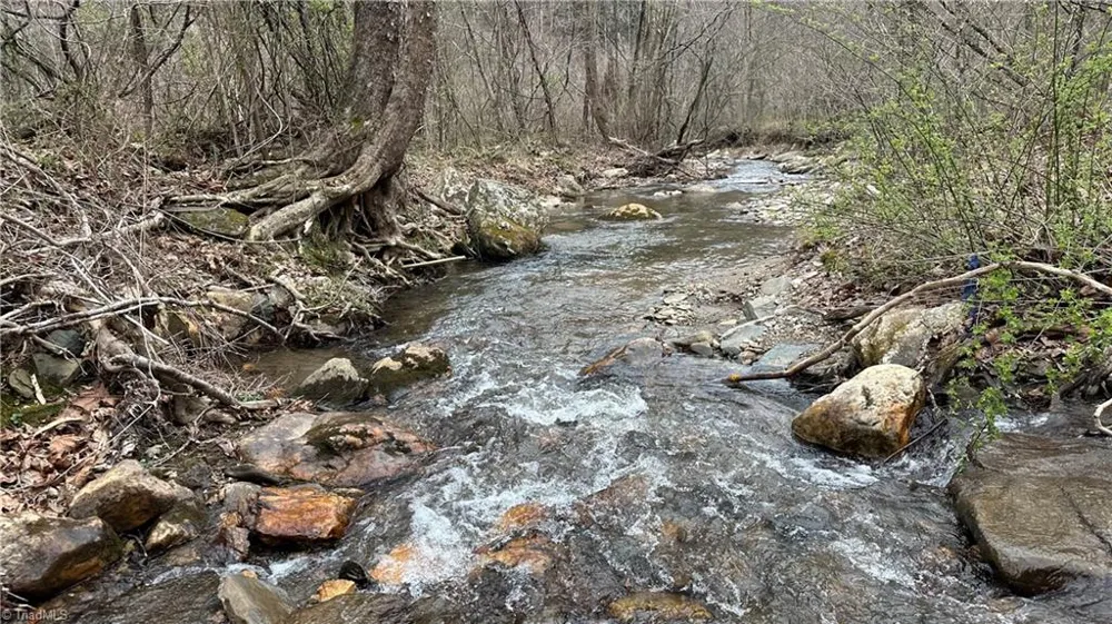 TBD Darnell Creek Road Millers Creek, NC 28651