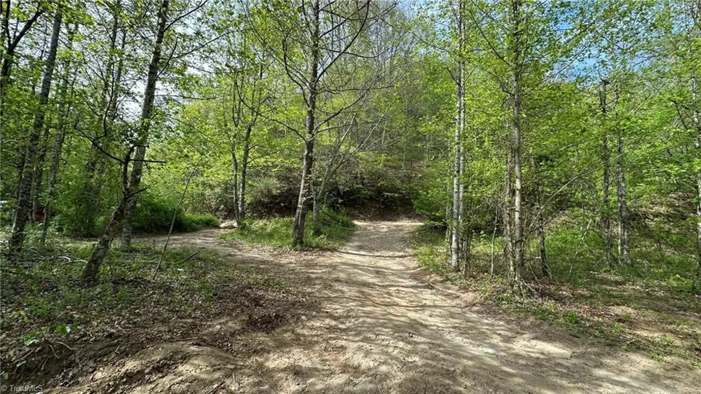 TBD Darnell Creek Road Millers Creek, NC 28651