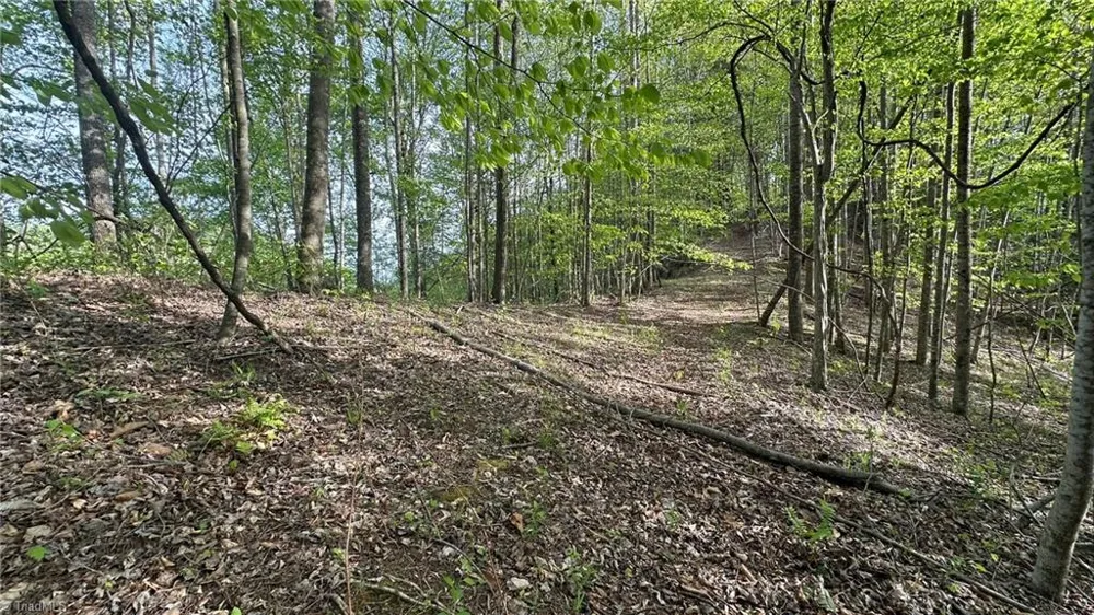 TBD Darnell Creek Road Millers Creek, NC 28651