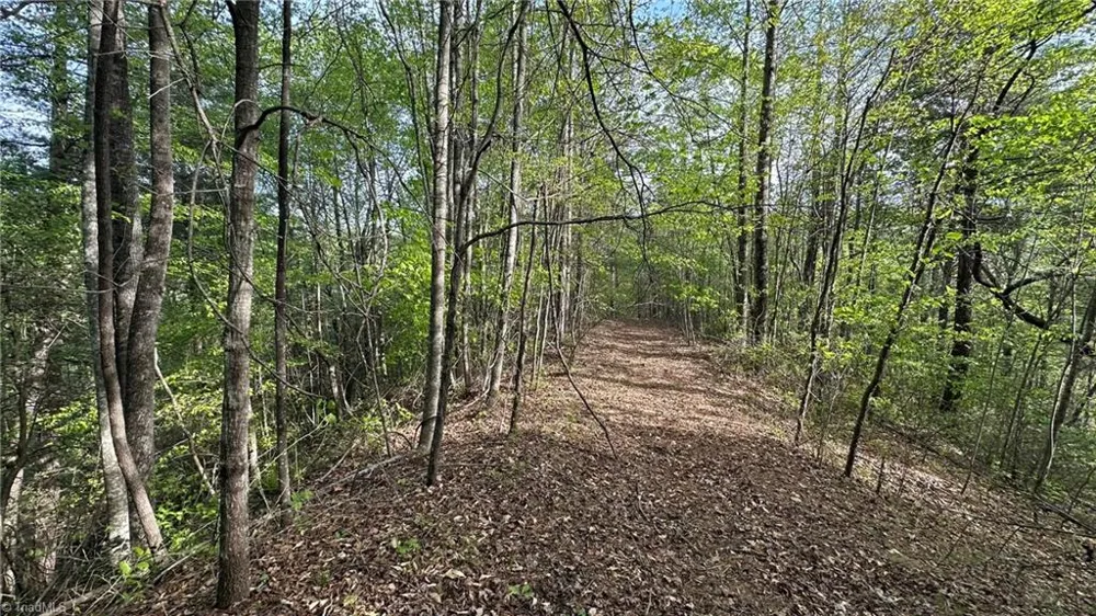 TBD Darnell Creek Road Millers Creek, NC 28651