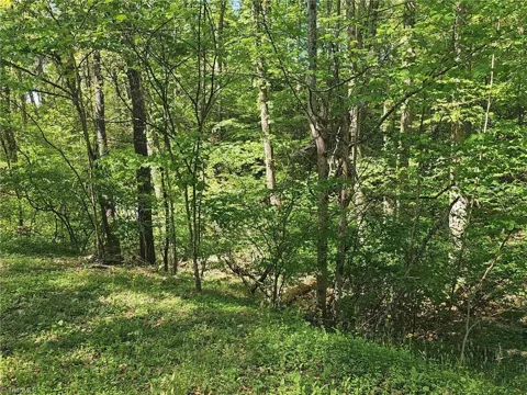 00 Rocky Lane