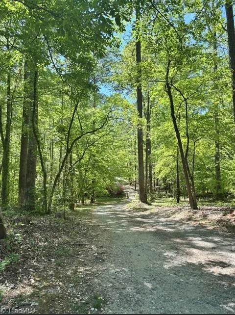 7198 Spring Hill Road Lewisville, NC 27023