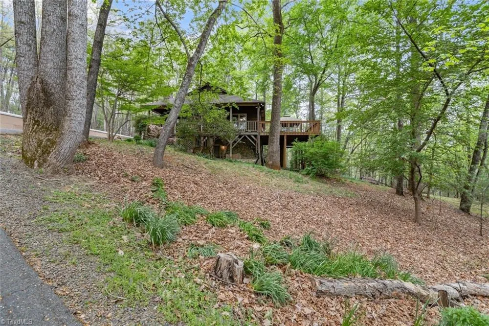 227 Baldwin Drive Lowgap, NC 27024