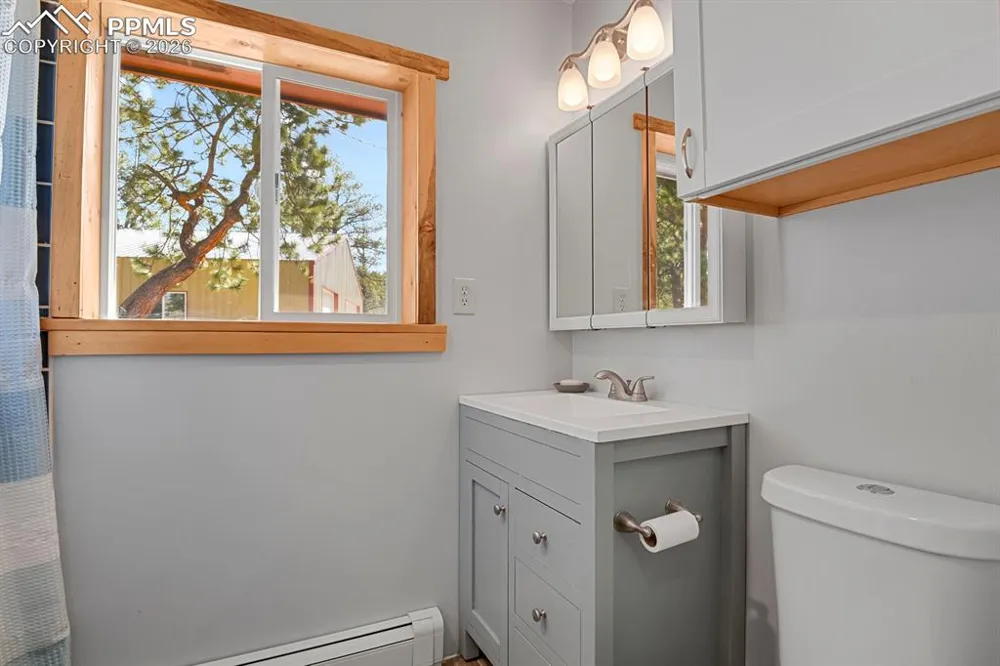 881 Trail Creek Road Lake George, CO 80827
