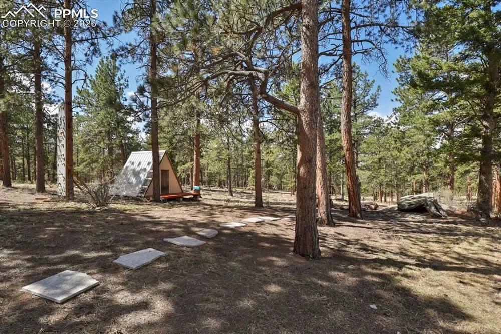 881 Trail Creek Road Lake George, CO 80827