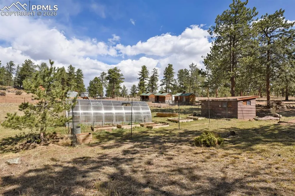 881 Trail Creek Road Lake George, CO 80827