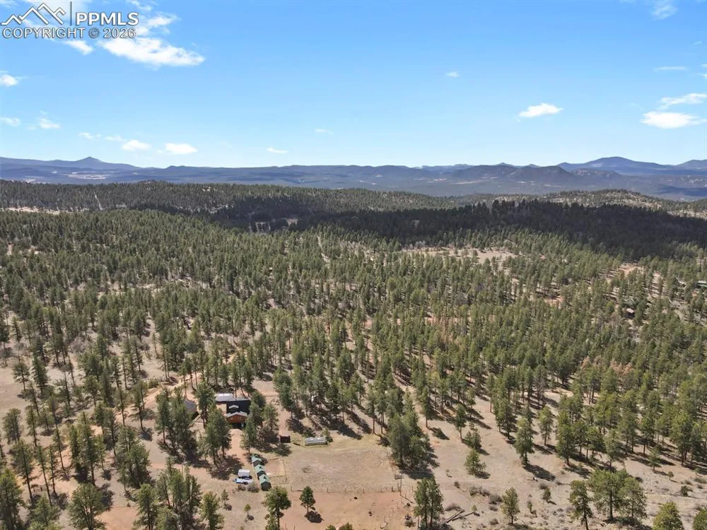 881 Trail Creek Road Lake George, CO 80827
