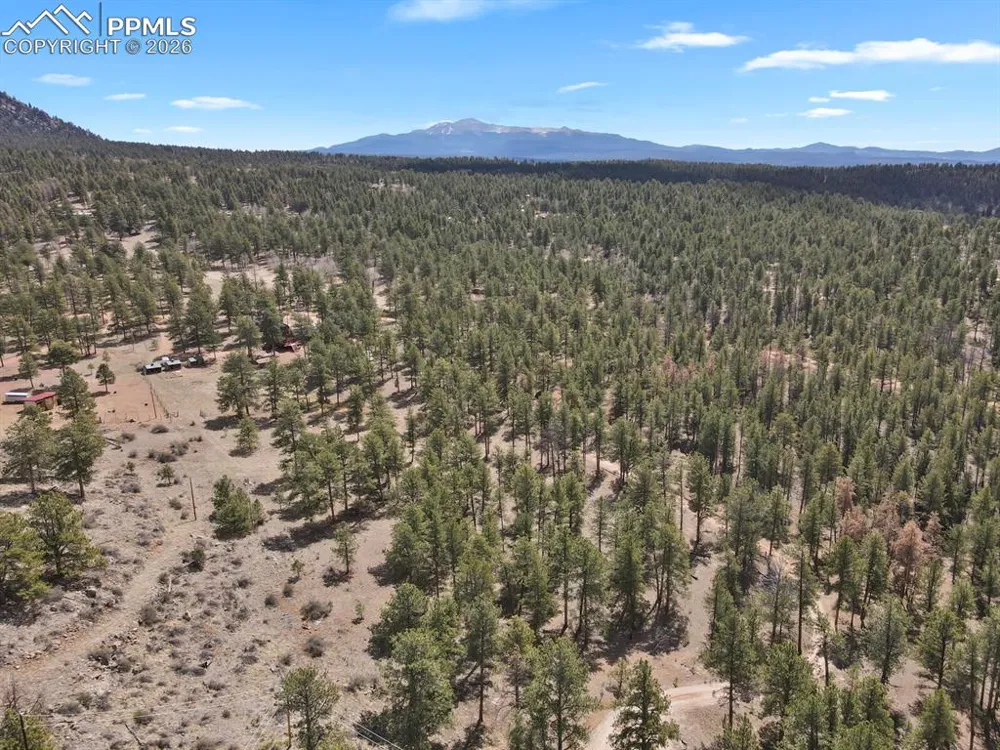881 Trail Creek Road Lake George, CO 80827