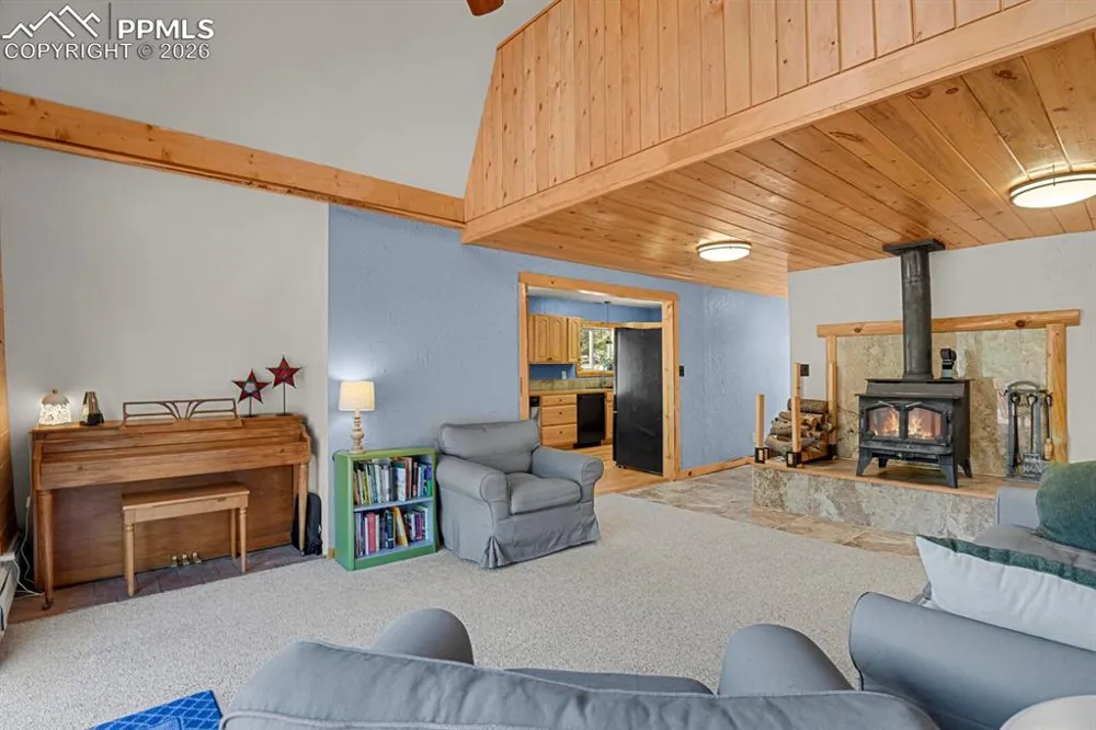 881 Trail Creek Road Lake George, CO 80827