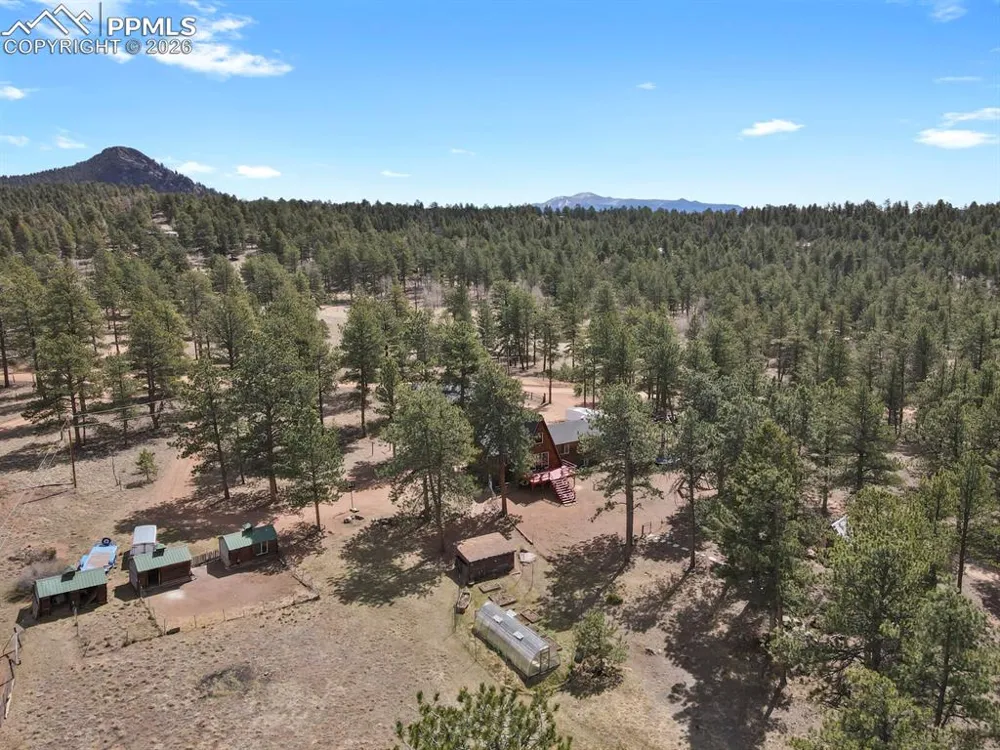 881 Trail Creek Road Lake George, CO 80827