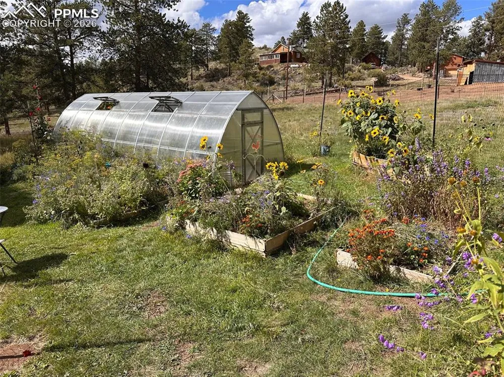 881 Trail Creek Road Lake George, CO 80827
