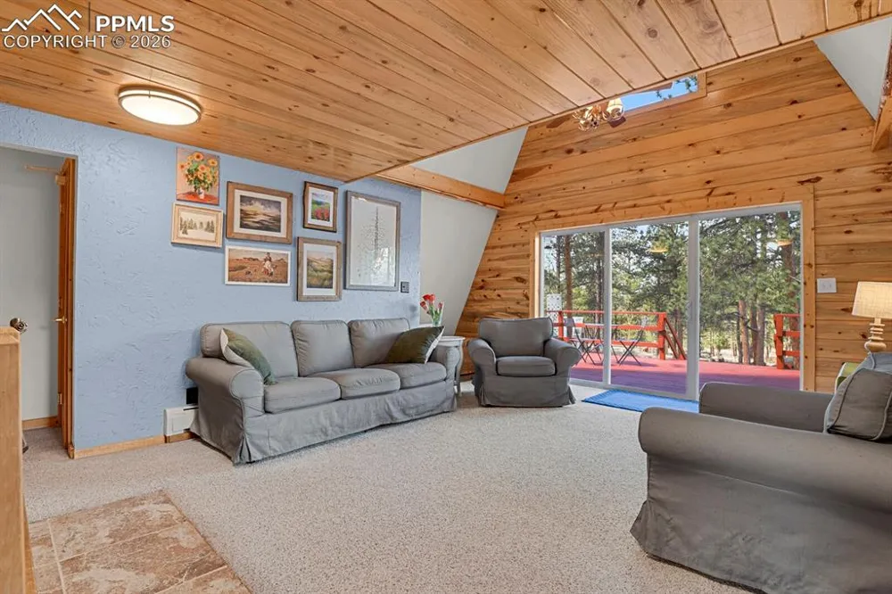881 Trail Creek Road Lake George, CO 80827