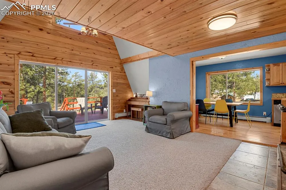 881 Trail Creek Road Lake George, CO 80827