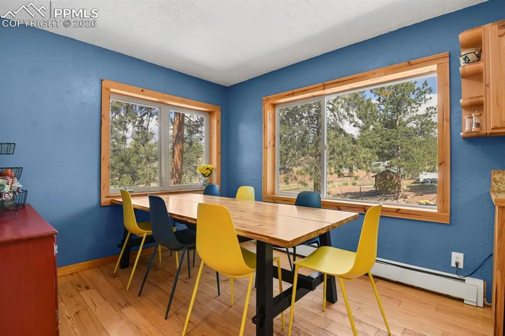 881 Trail Creek Road Lake George, CO 80827