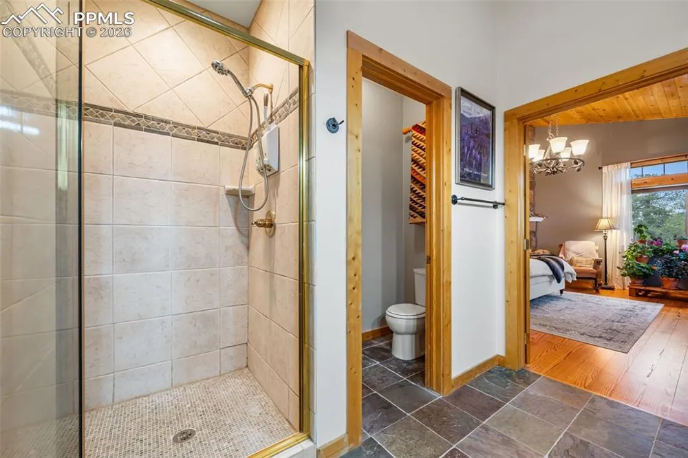 1366 Vagabond Creek Drive Lake George, CO 80827