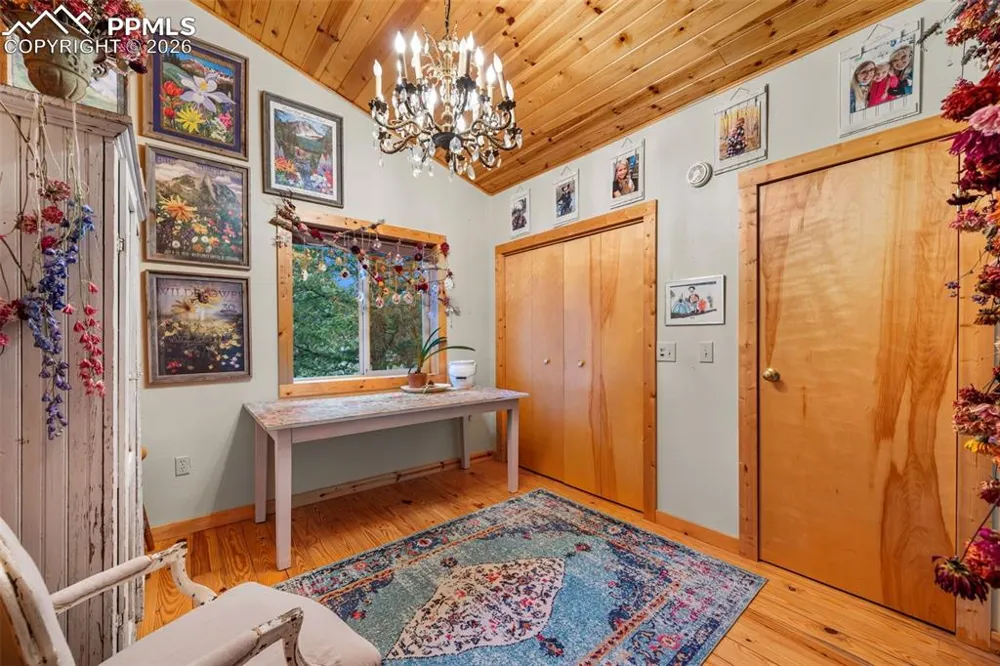 1366 Vagabond Creek Drive Lake George, CO 80827