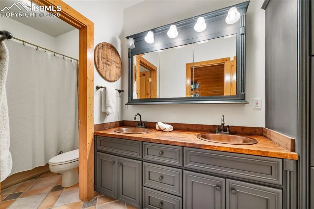 1366 Vagabond Creek Drive Lake George, CO 80827