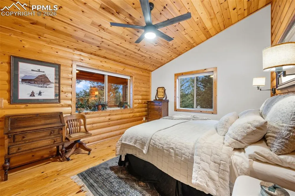 1366 Vagabond Creek Drive Lake George, CO 80827