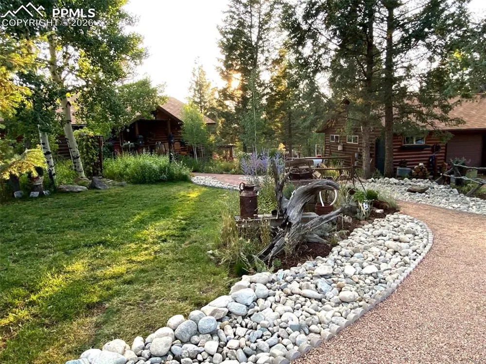 1366 Vagabond Creek Drive Lake George, CO 80827