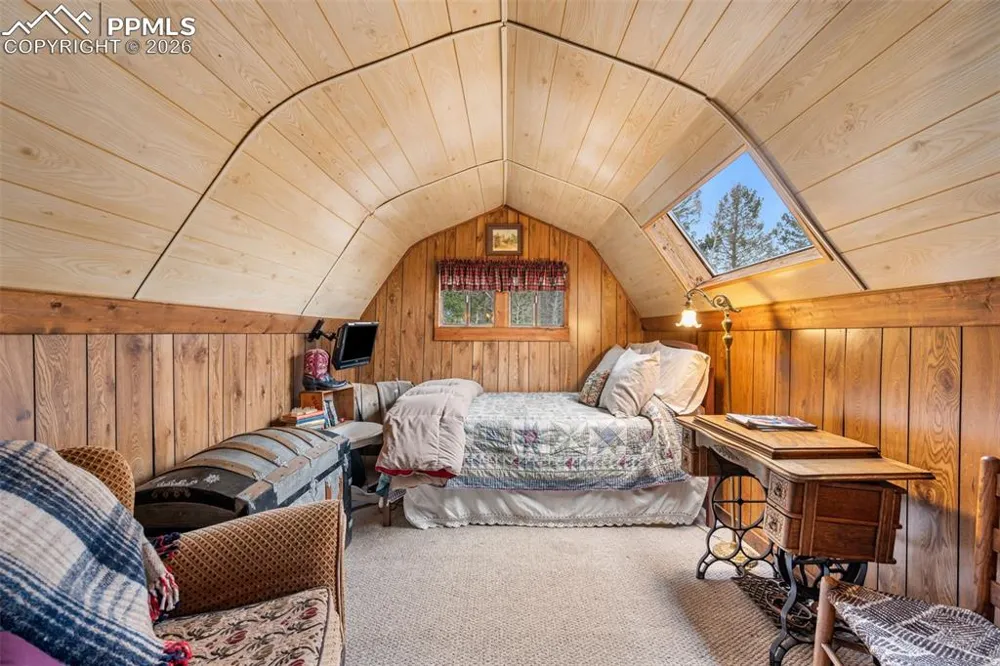 1366 Vagabond Creek Drive Lake George, CO 80827