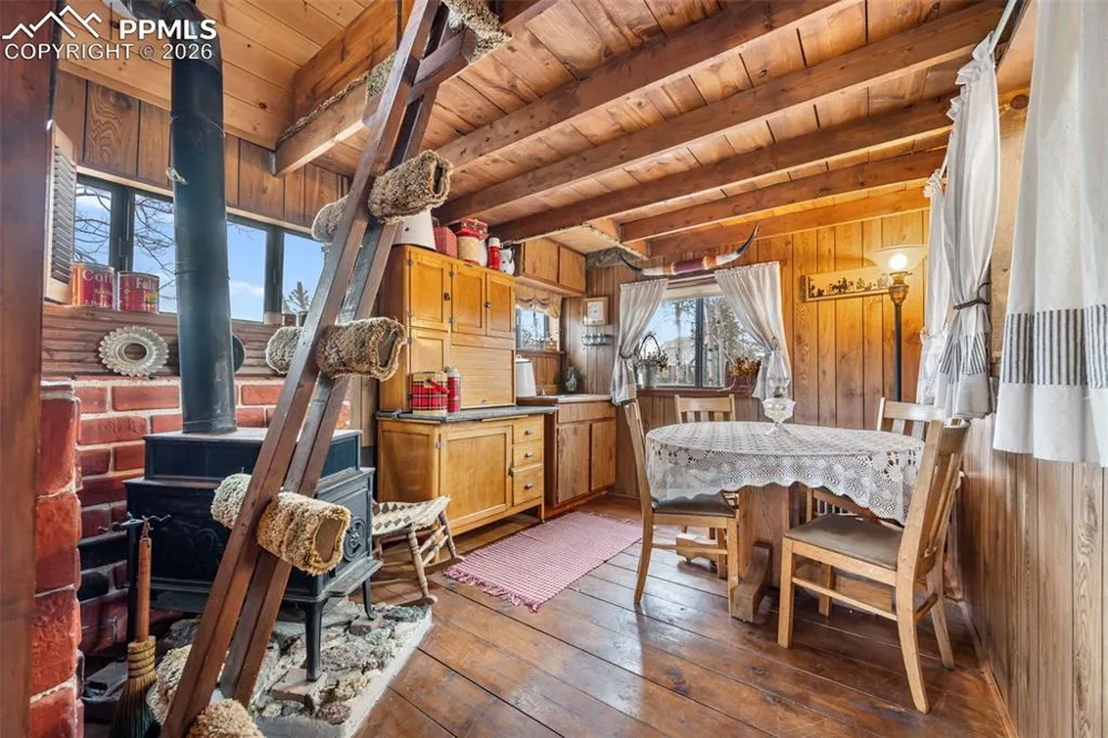 1366 Vagabond Creek Drive Lake George, CO 80827