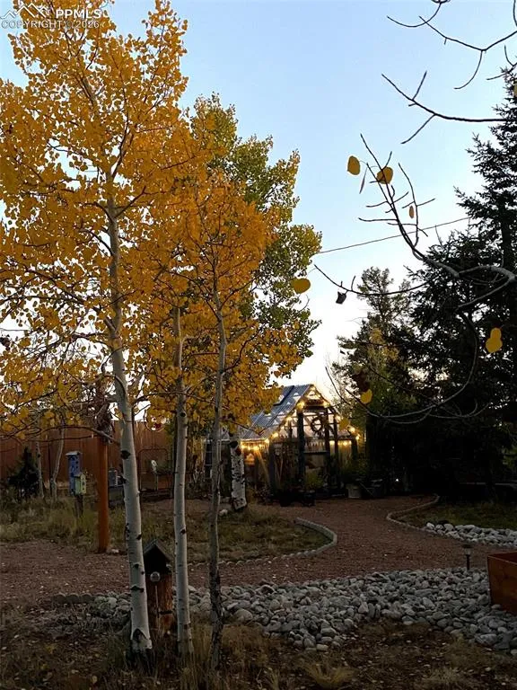 1366 Vagabond Creek Drive Lake George, CO 80827