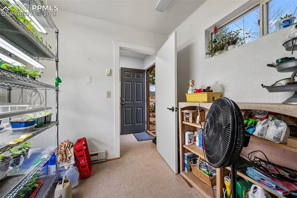 1366 Vagabond Creek Drive Lake George, CO 80827