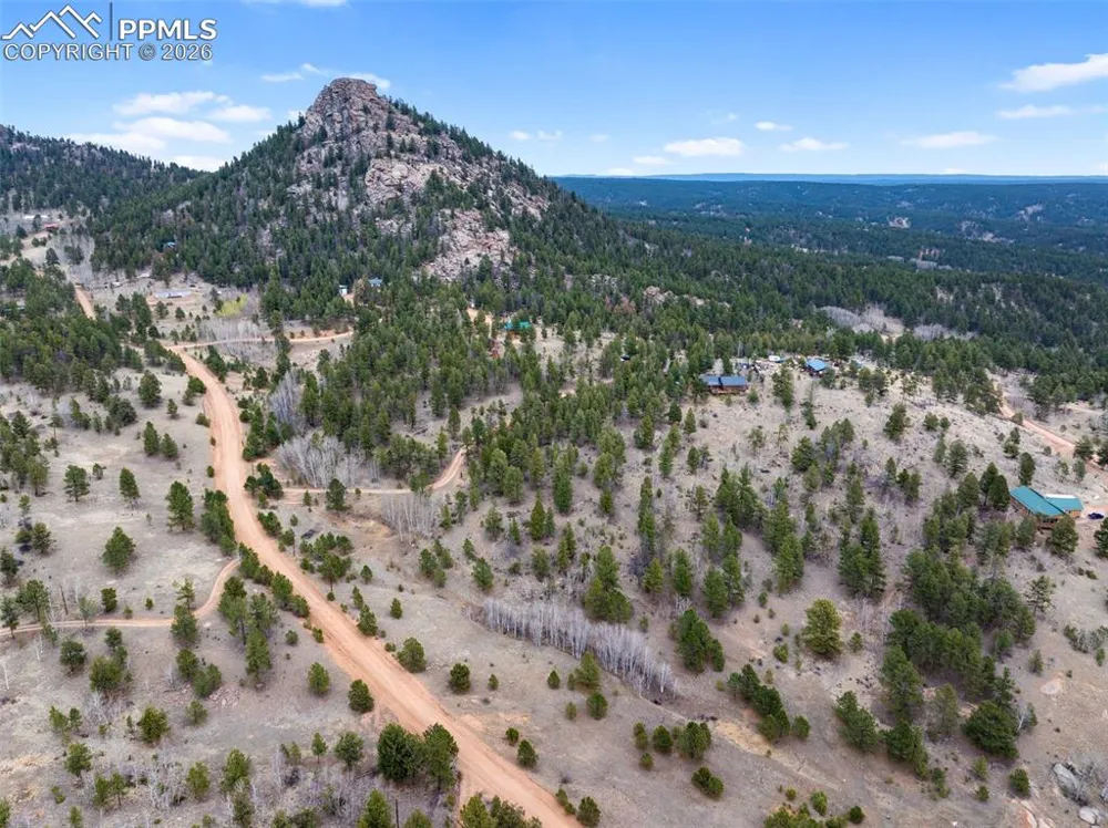 1366 Vagabond Creek Drive Lake George, CO 80827
