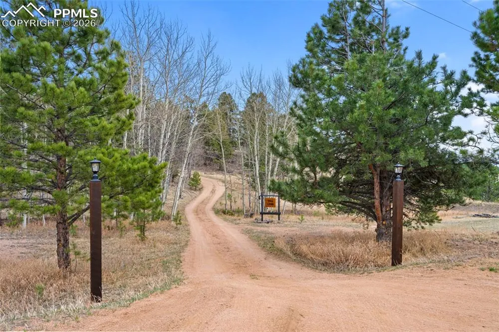 1366 Vagabond Creek Drive Lake George, CO 80827