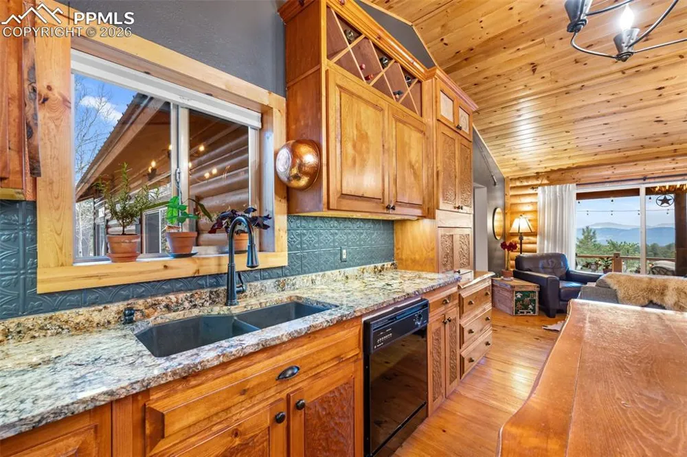 1366 Vagabond Creek Drive Lake George, CO 80827