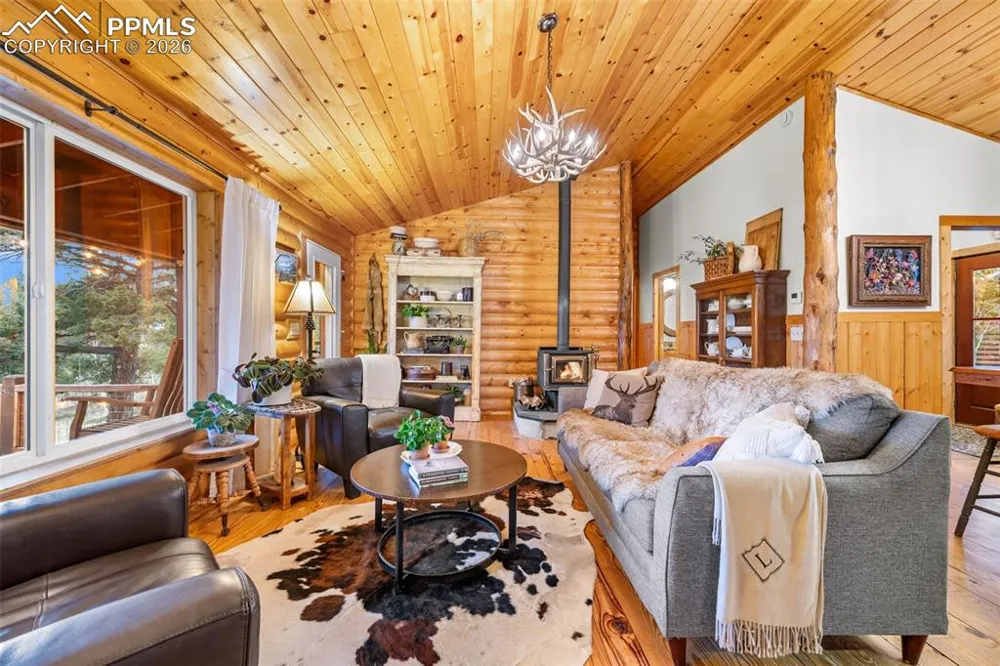 1366 Vagabond Creek Drive Lake George, CO 80827