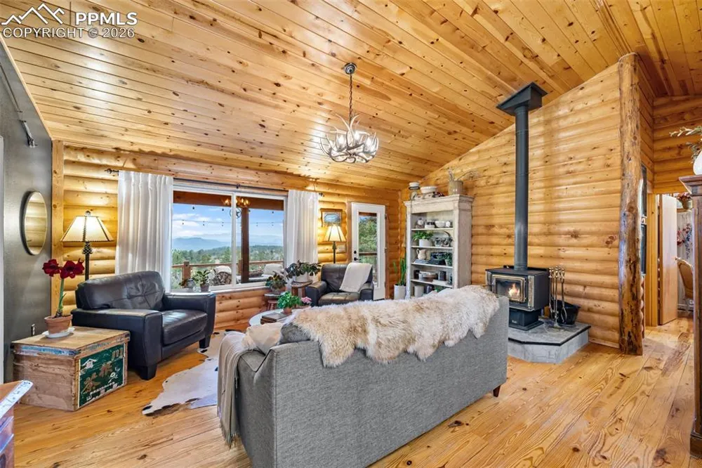 1366 Vagabond Creek Drive Lake George, CO 80827