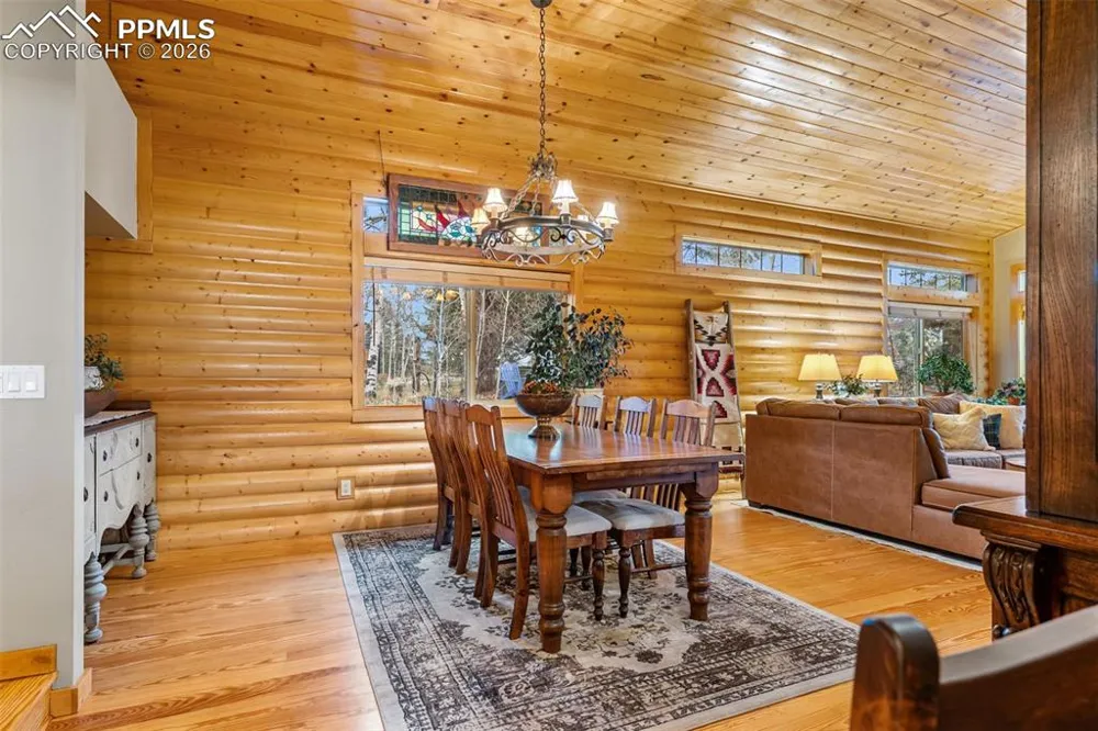 1366 Vagabond Creek Drive Lake George, CO 80827