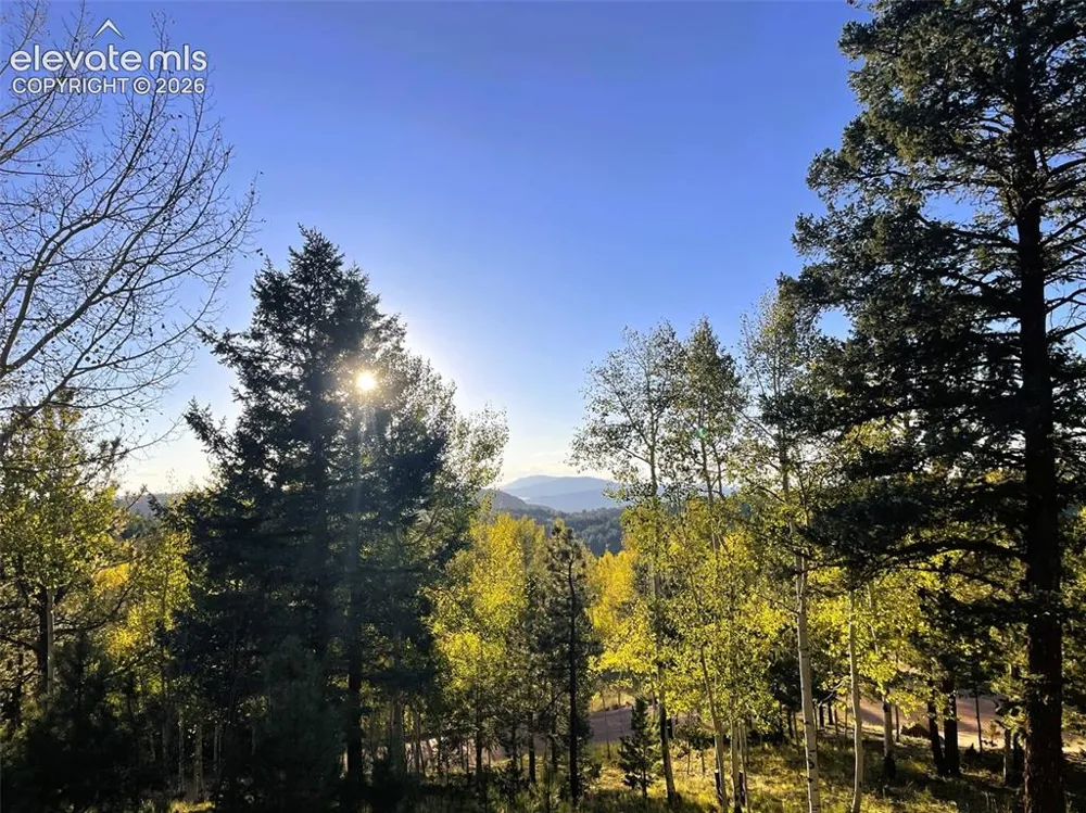 1122 Bennett Drive Cripple Creek, CO 80813